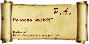 Pahocsa Anikó névjegykártya